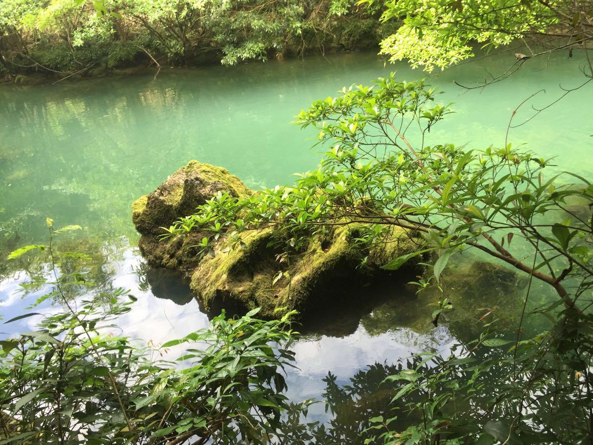 茂兰国家级自然保护区