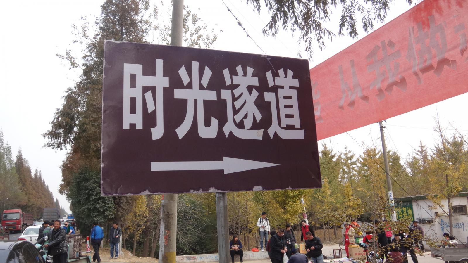 银杏时光隧道
