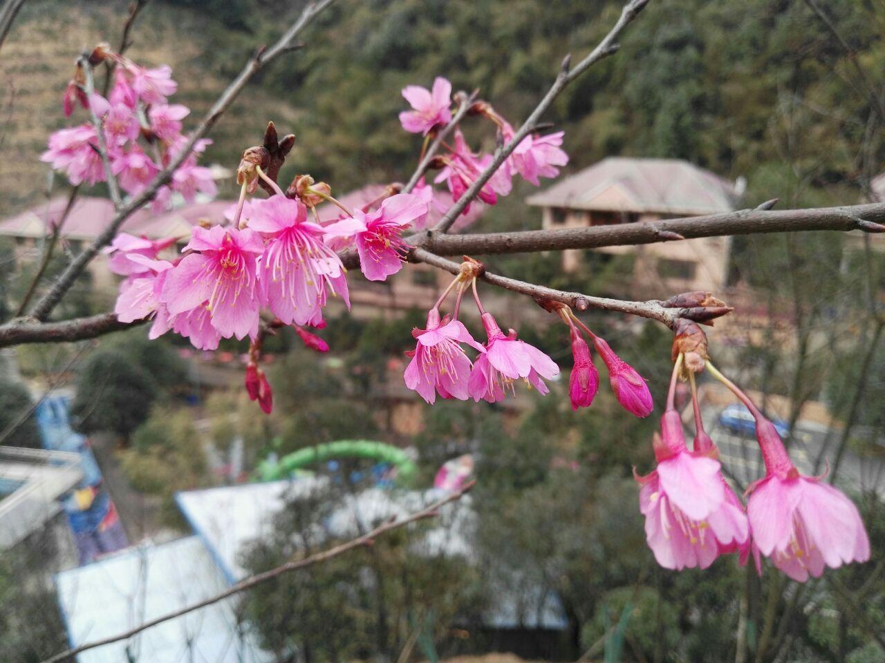 王仙岭旅游风景区