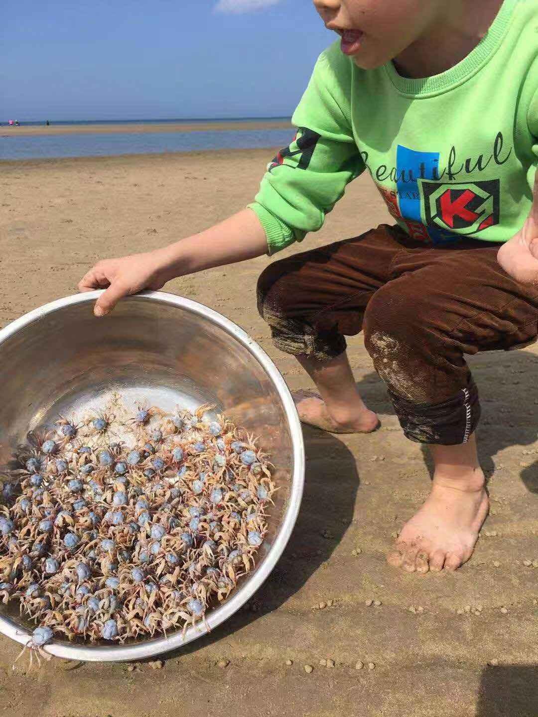 光村银滩