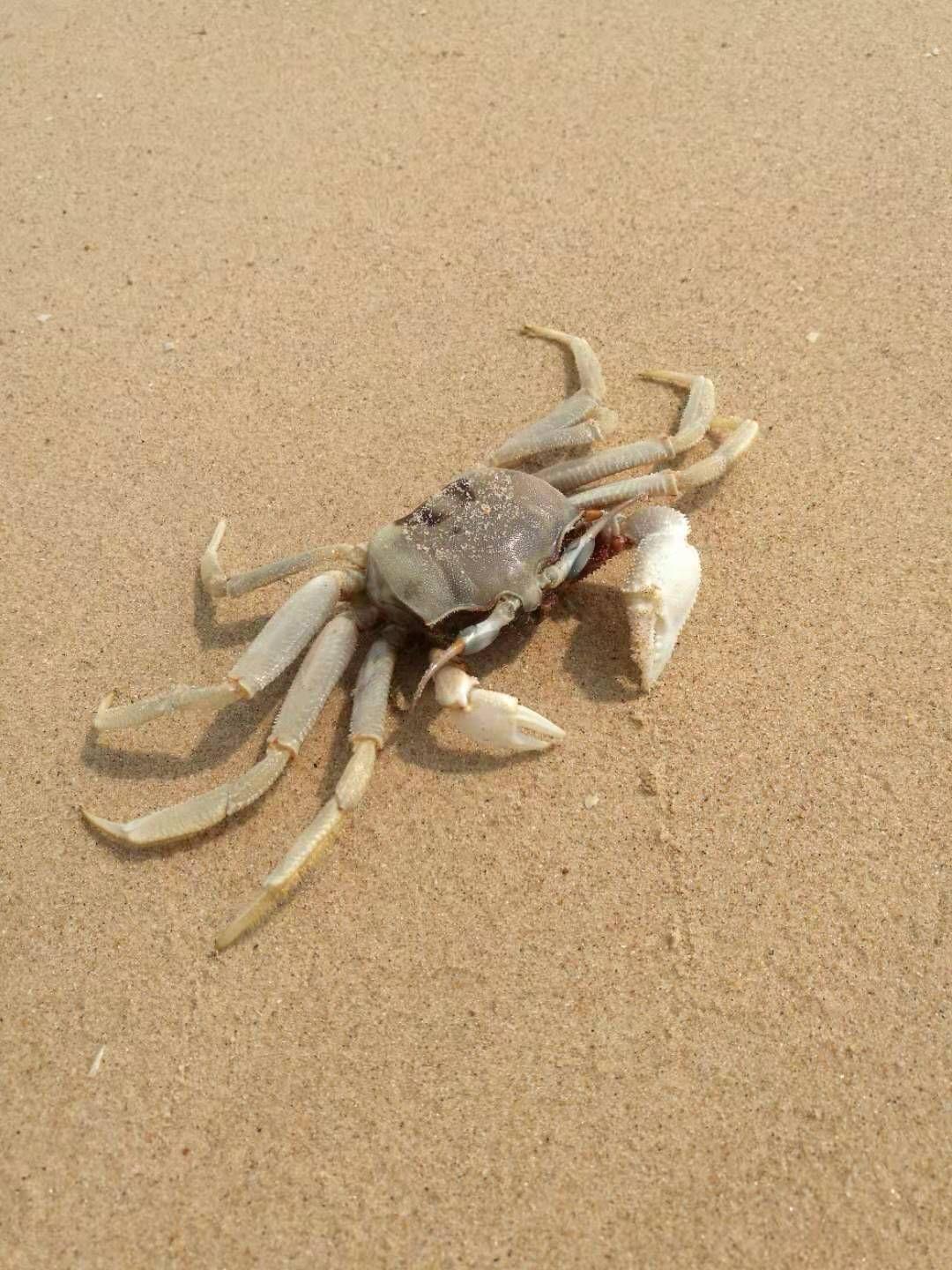 湄洲岛