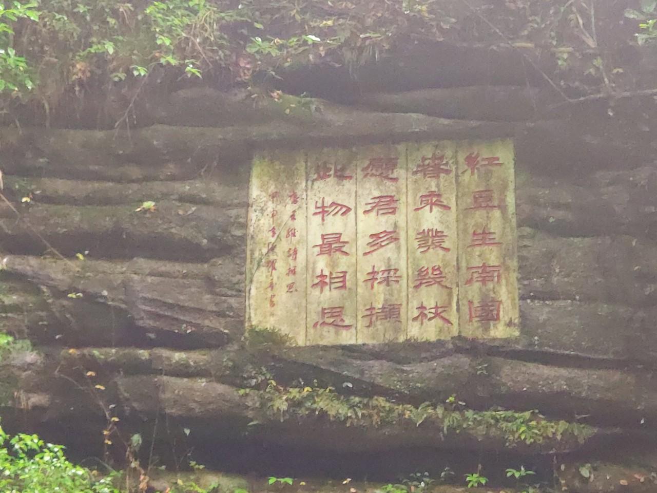 阳坝红豆谷