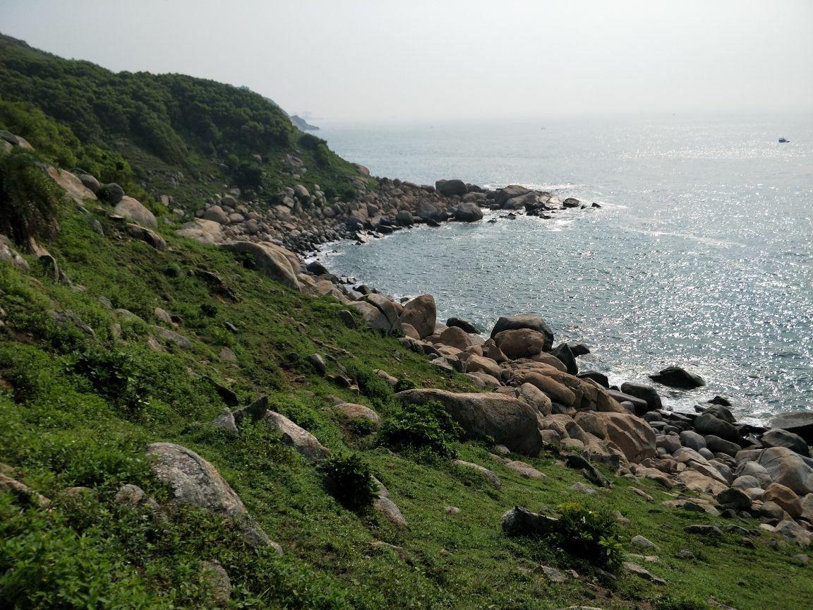 大树岛
