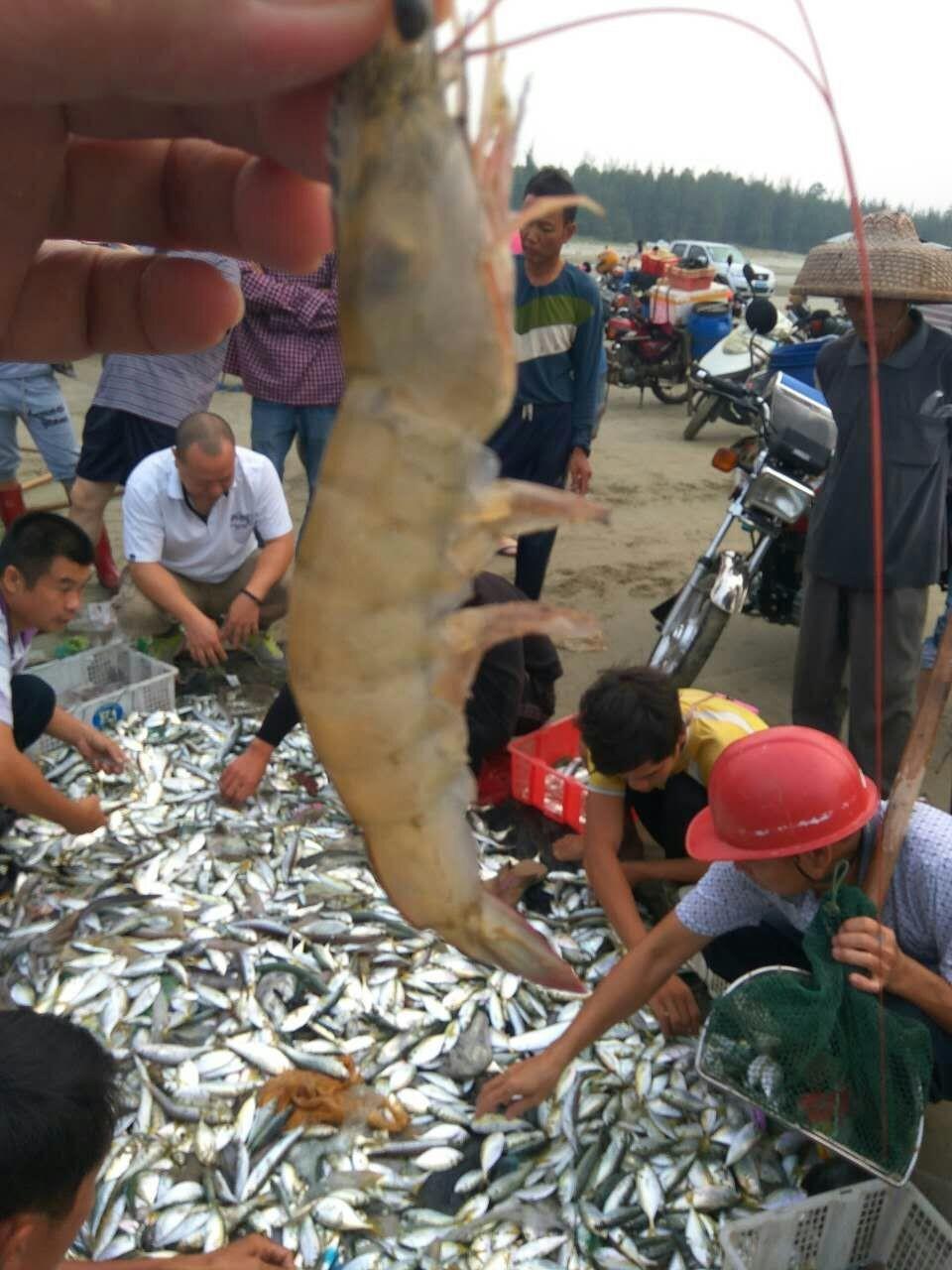 蓝袍湾