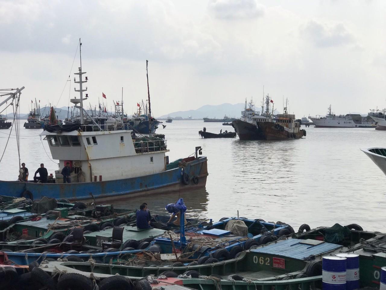 沈家门渔港