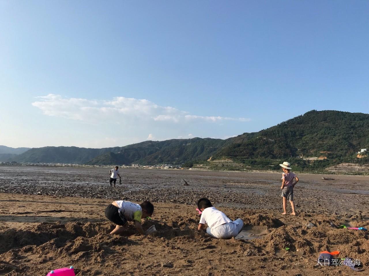 北岐滩涂