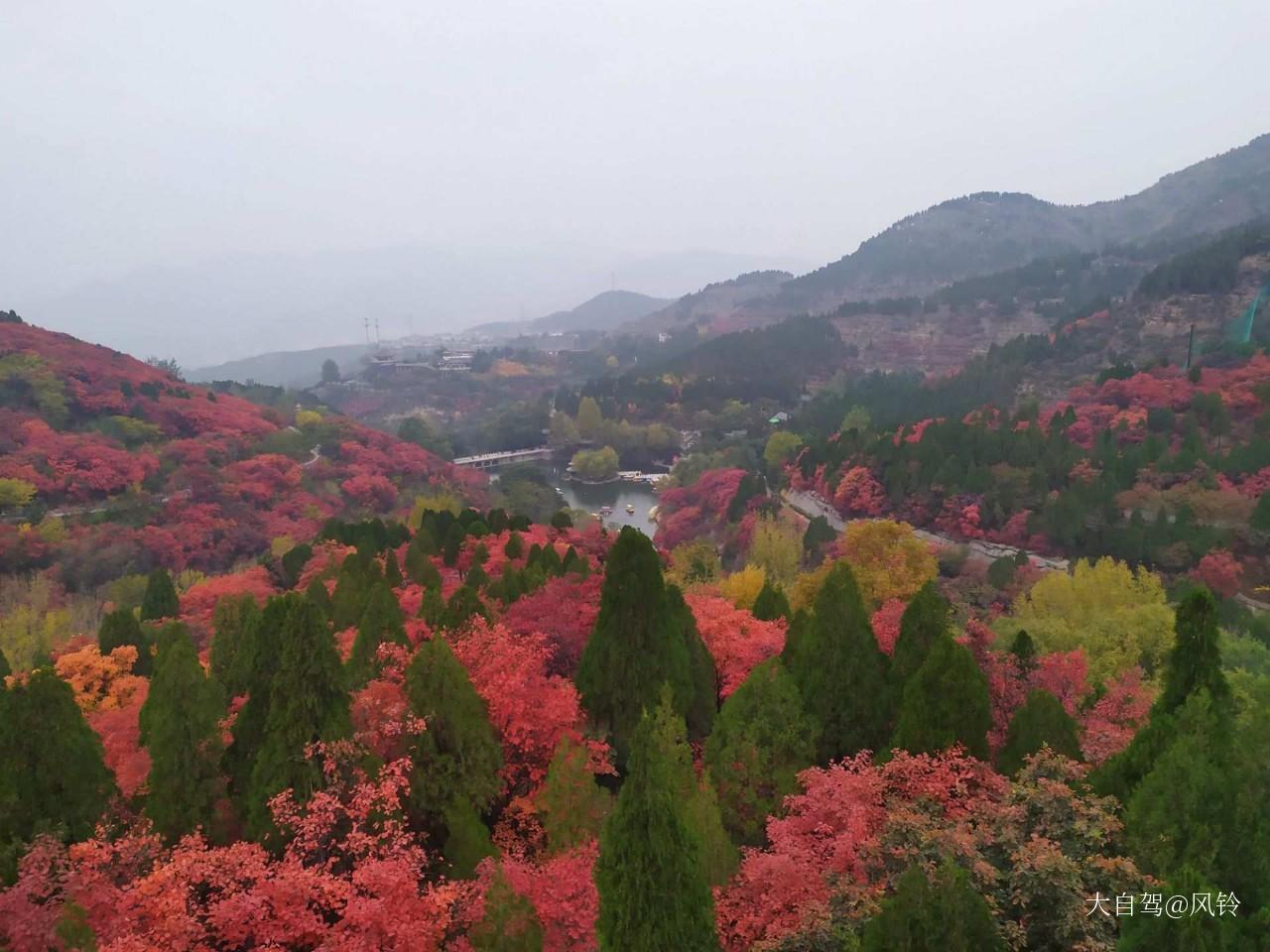 红叶谷风景区