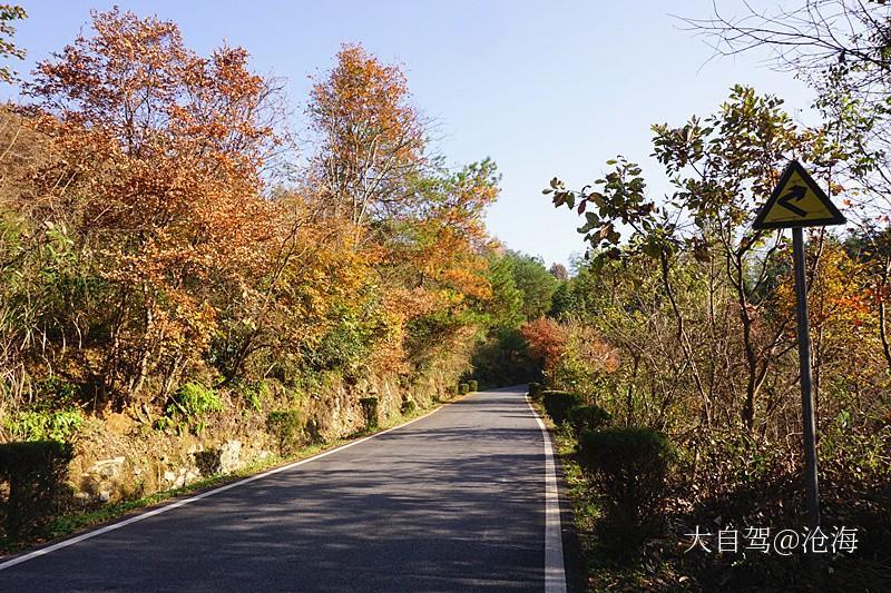 桃岭公路