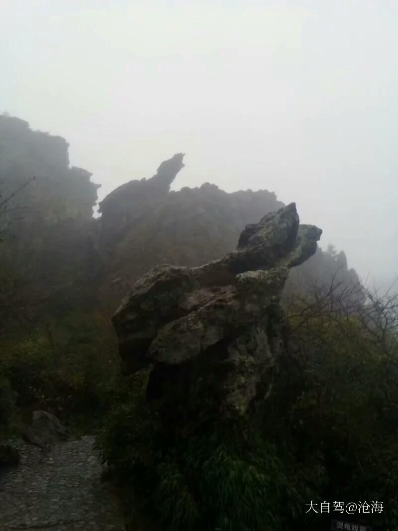 神农顶风景区