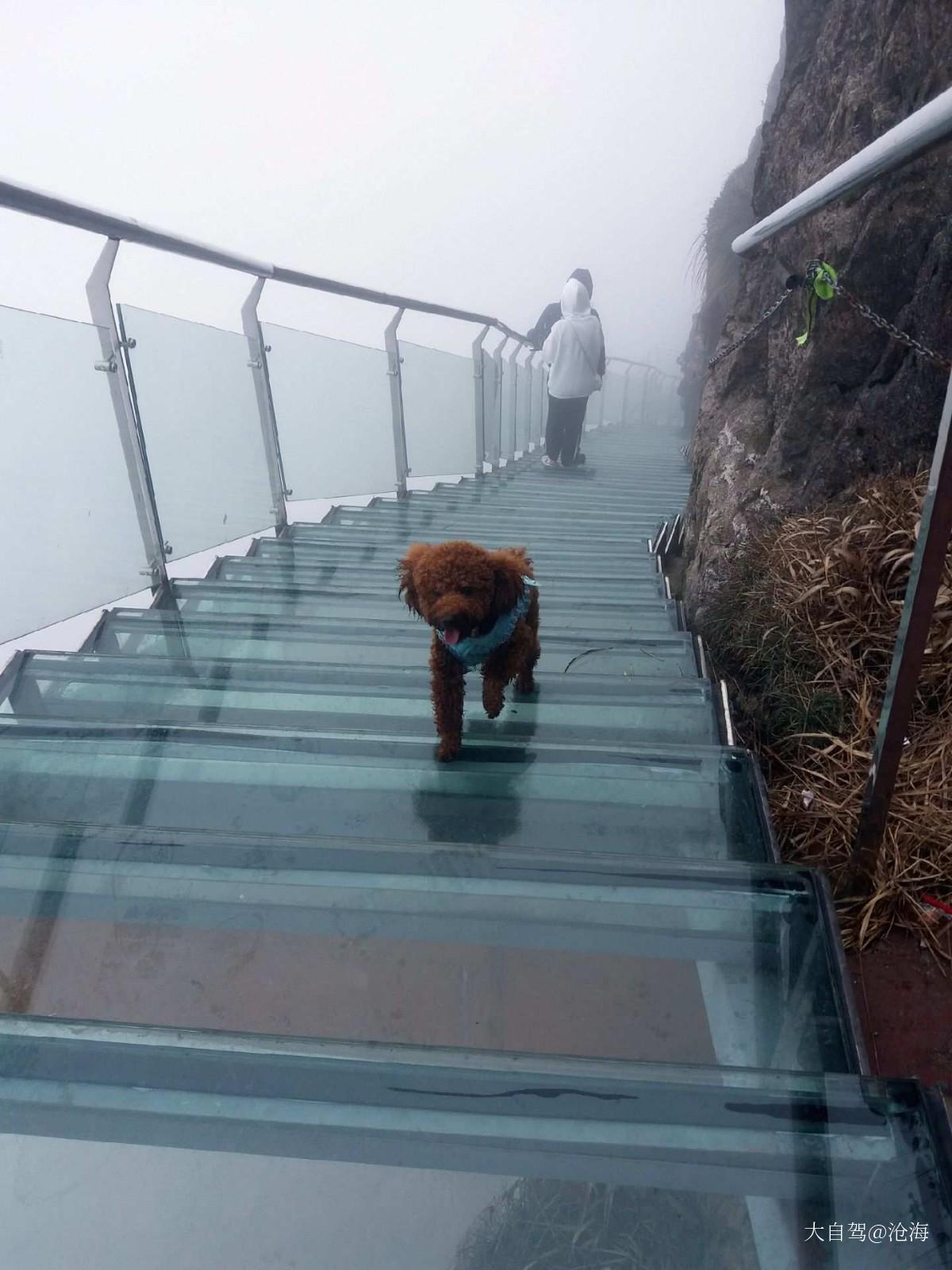 金子山玻璃栈道
