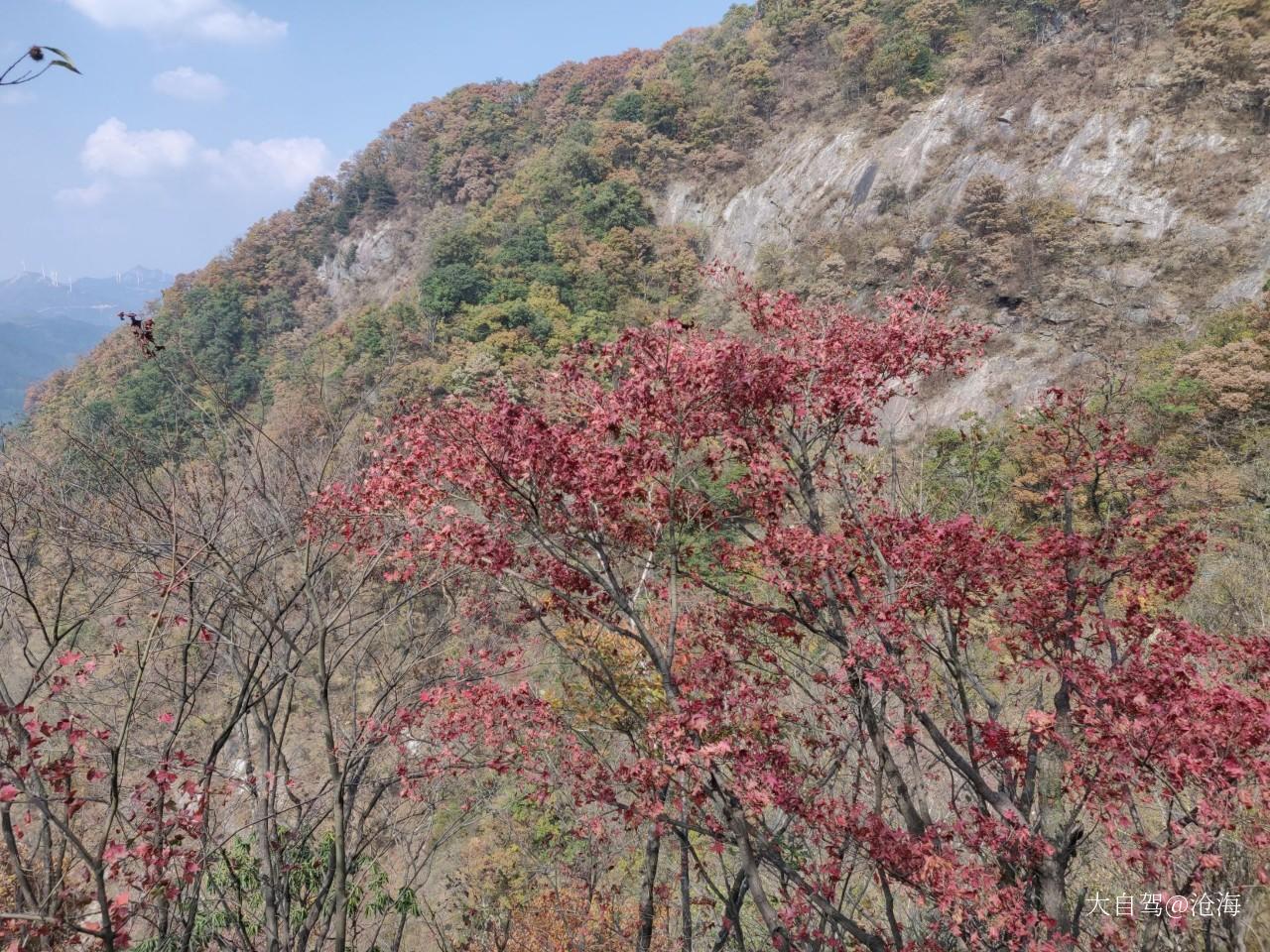 马鬃岭