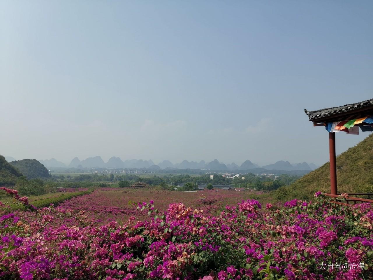 桂林花海景区