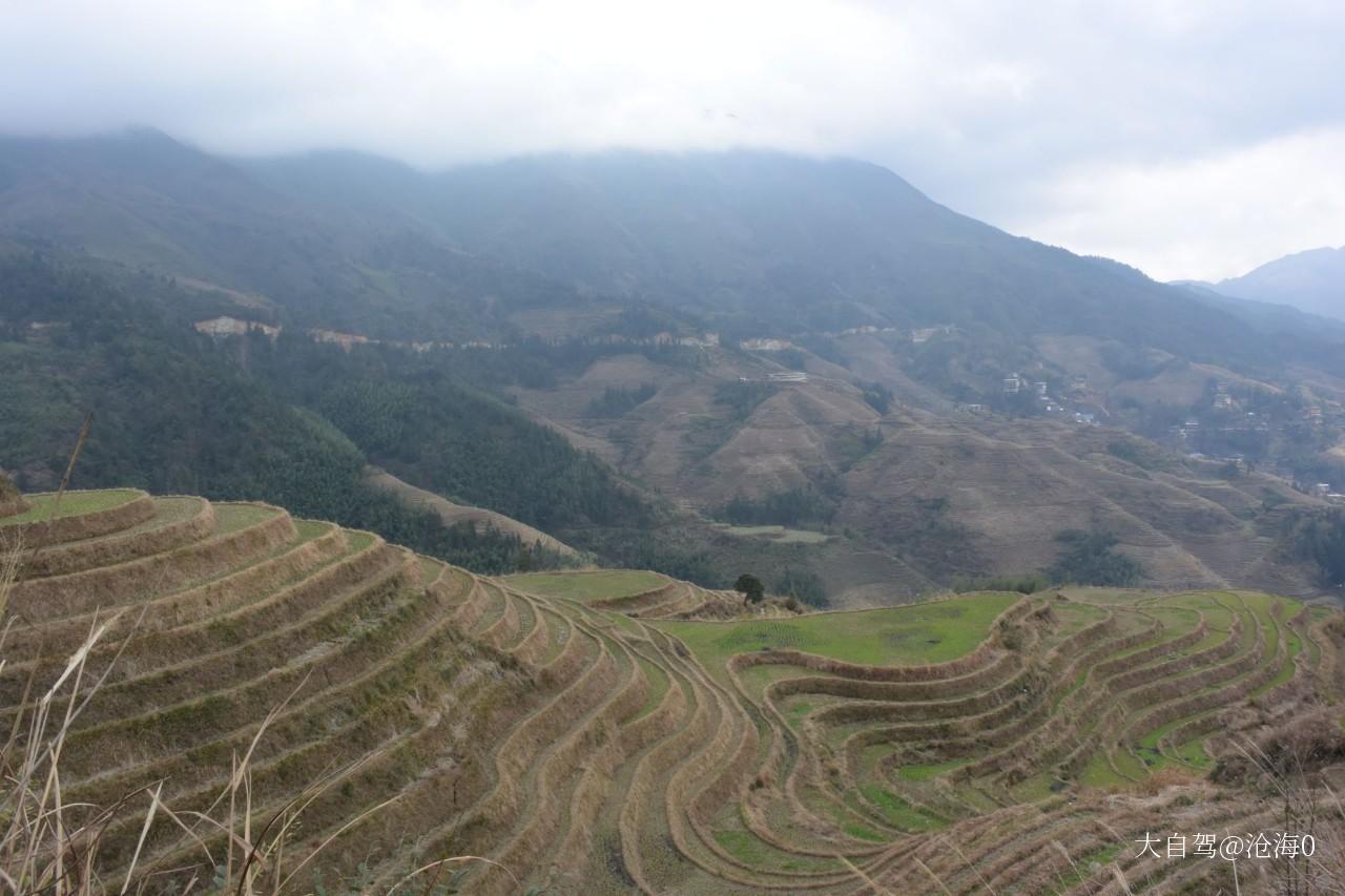 龙脊梯田