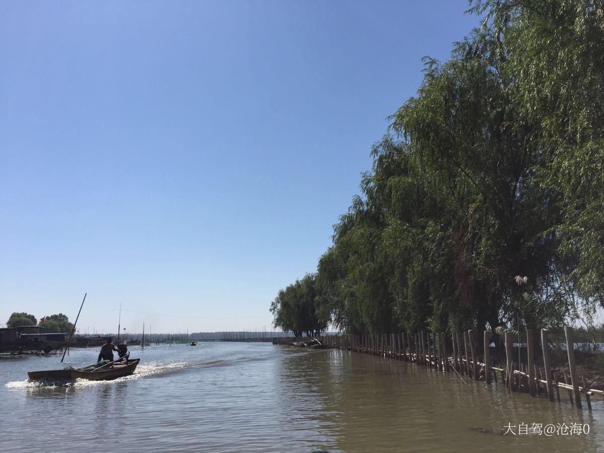高邮湖芦苇荡湿地公园