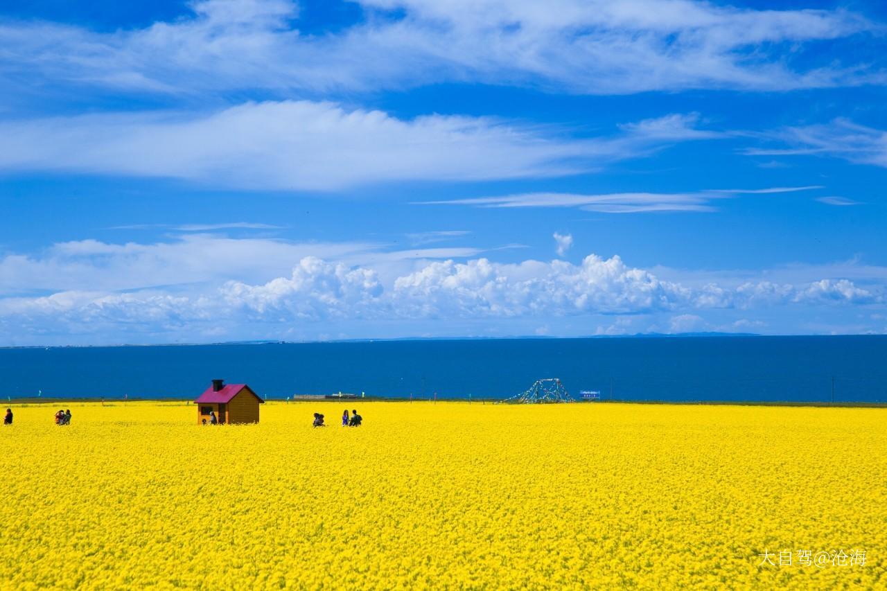 青海湖景区