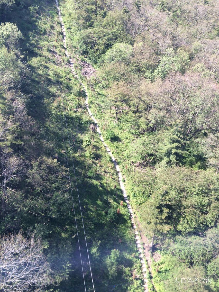 牛背梁国家森林公园
