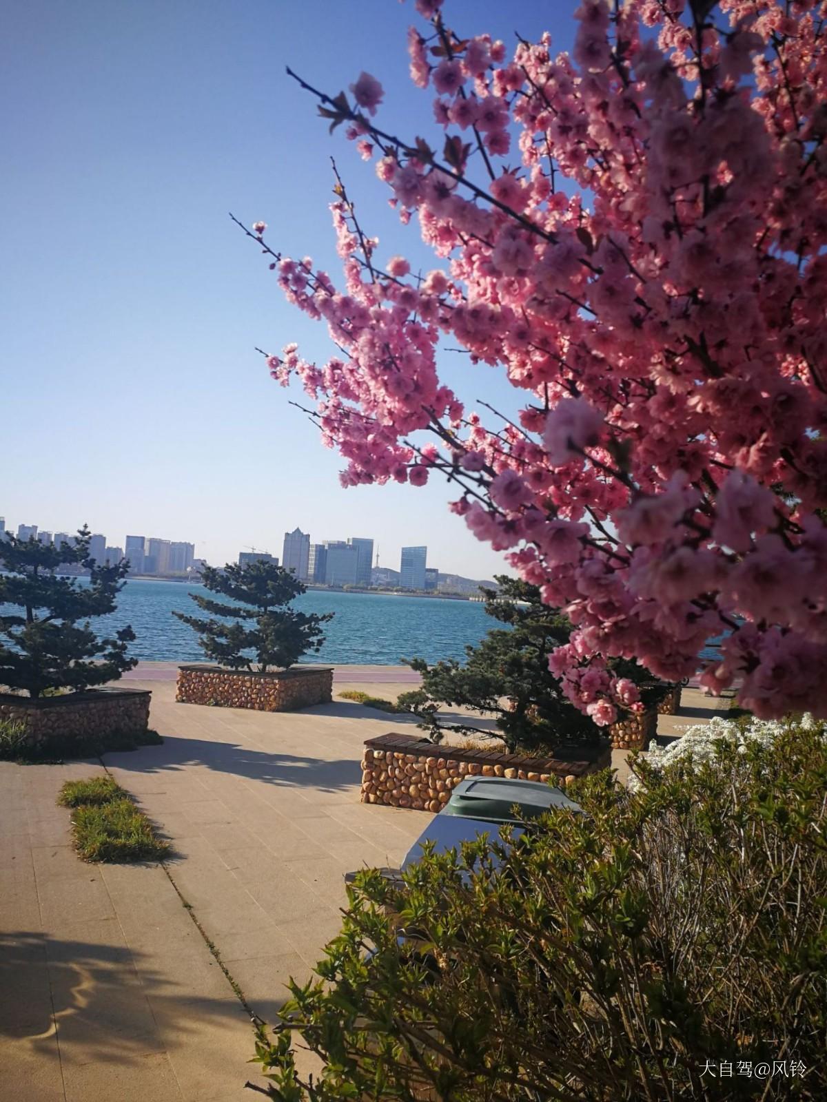 唐岛湾滨海公园