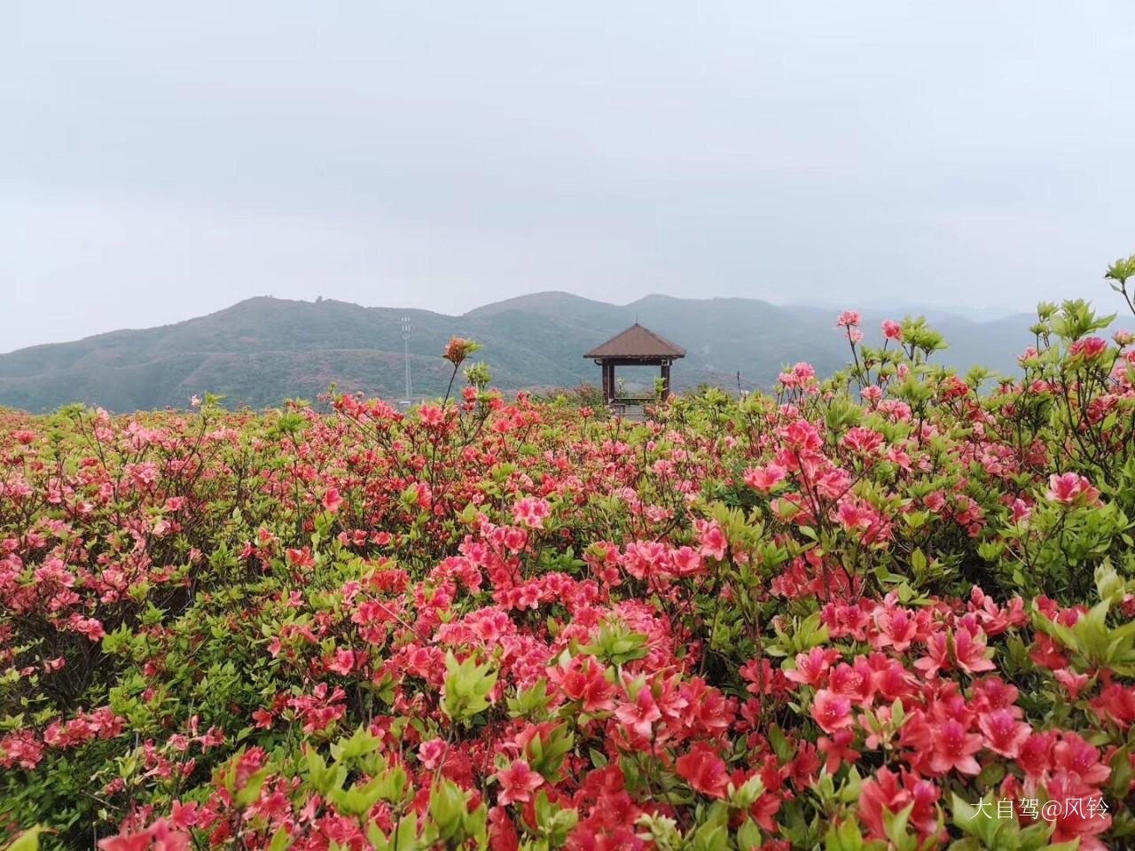 大围山国家森林公园