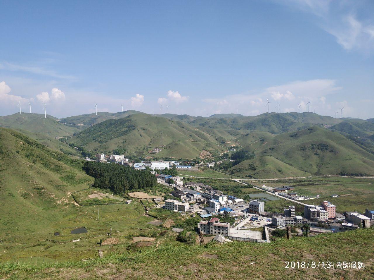 南山牧场