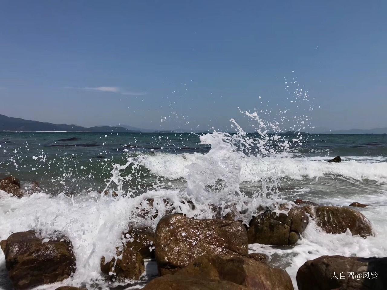 杨梅坑