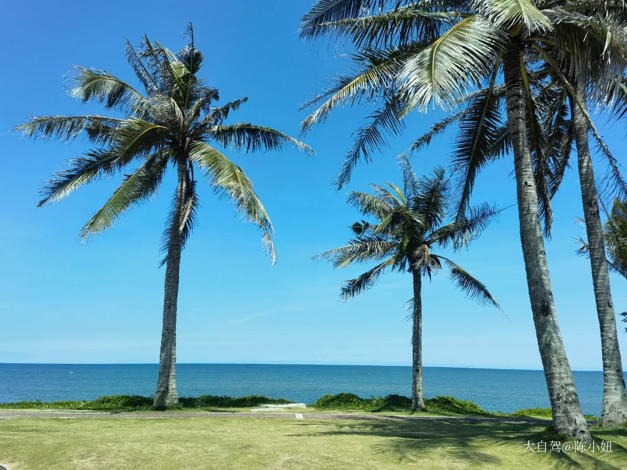 南湾猴岛