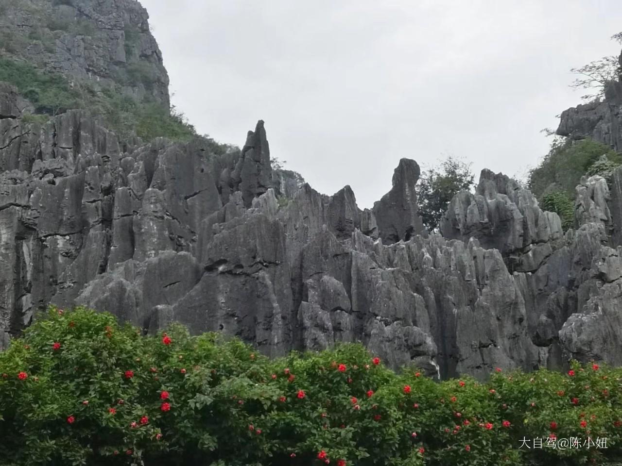 春湾石林