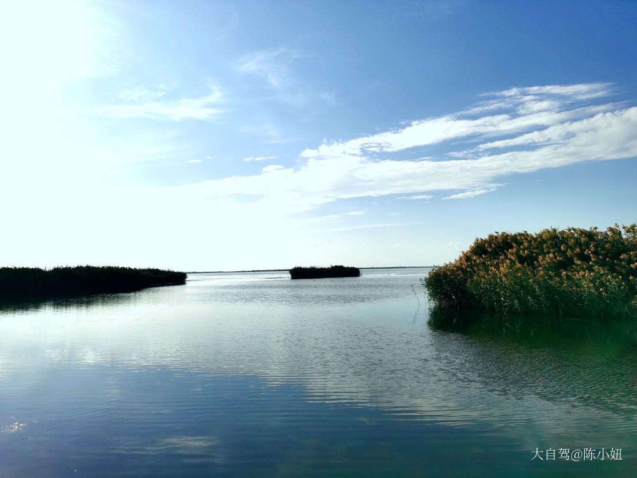 乌梁素海