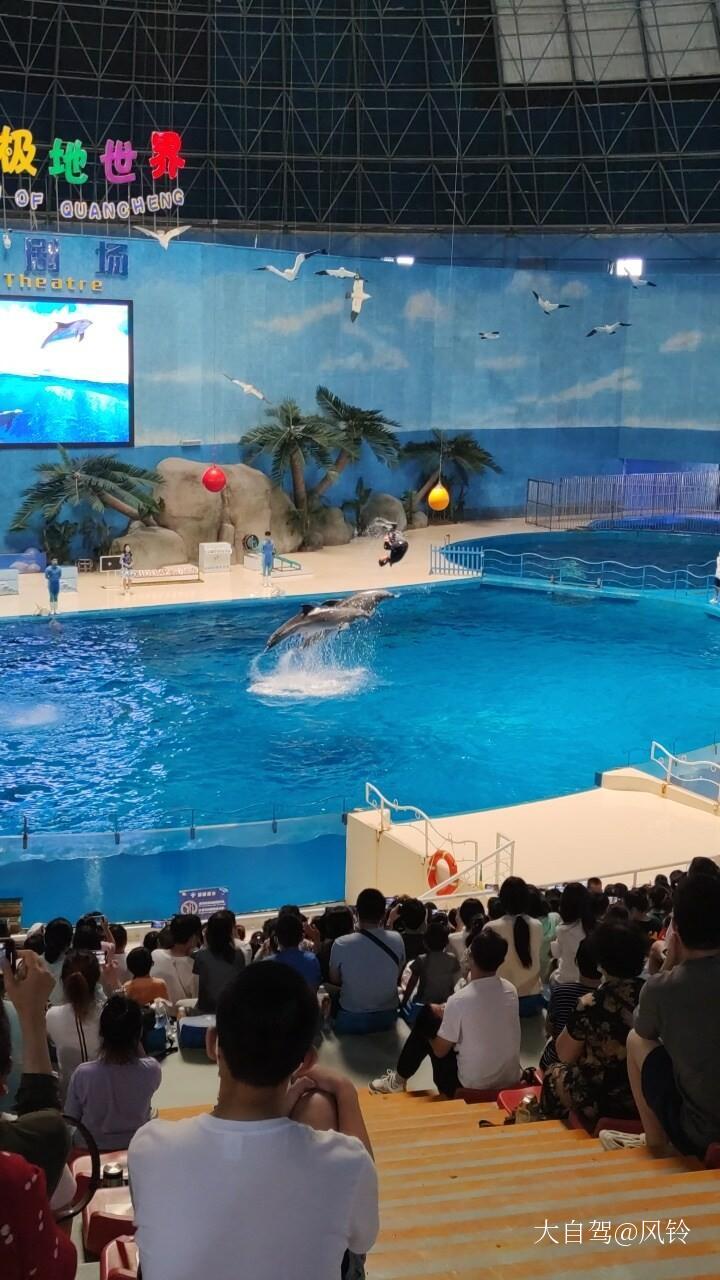 泉城海洋极地世界