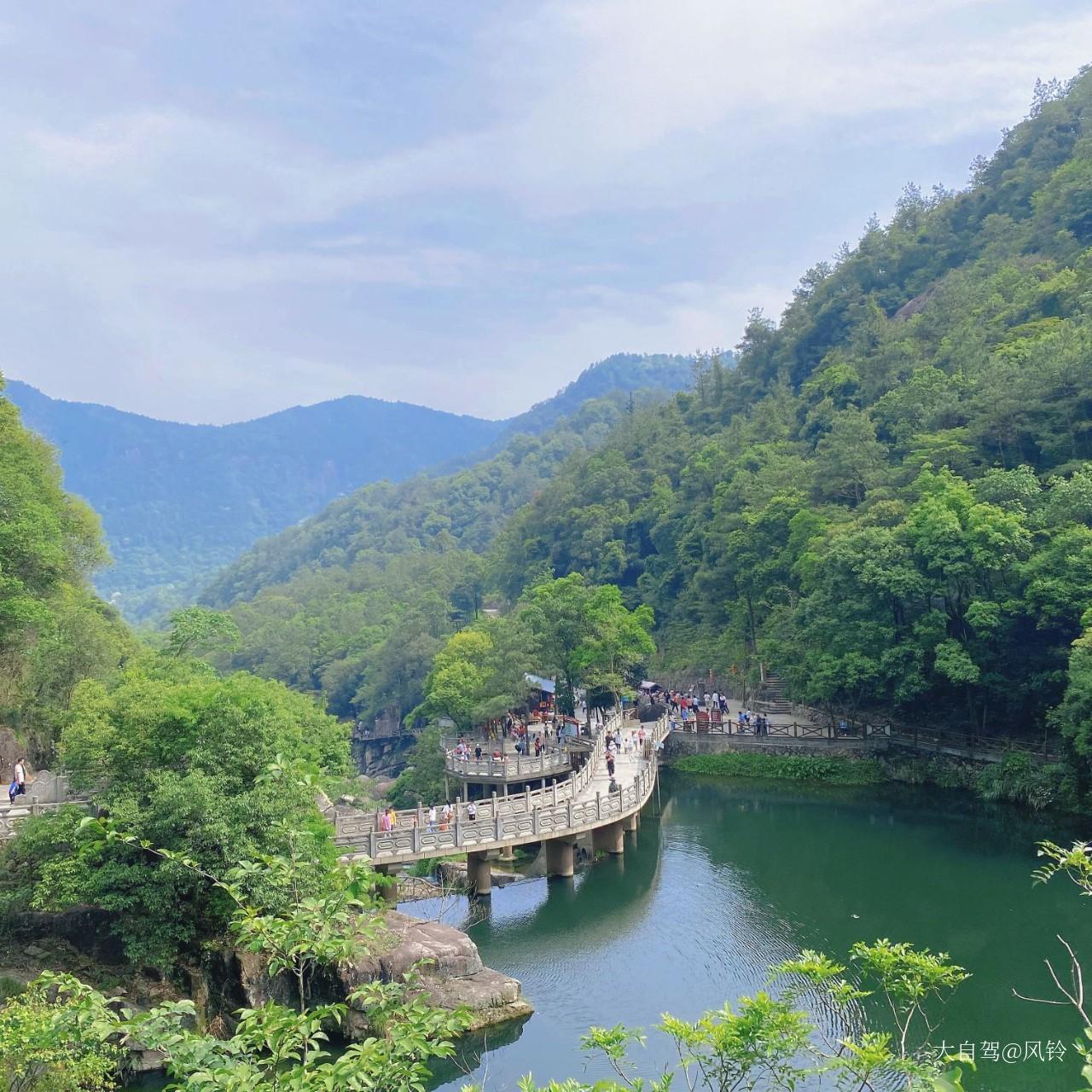 九龙谷国家森林公园