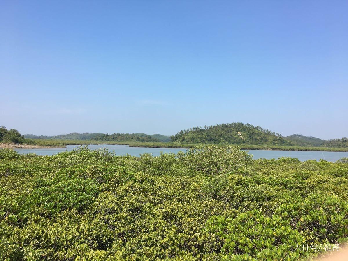仙岛公园