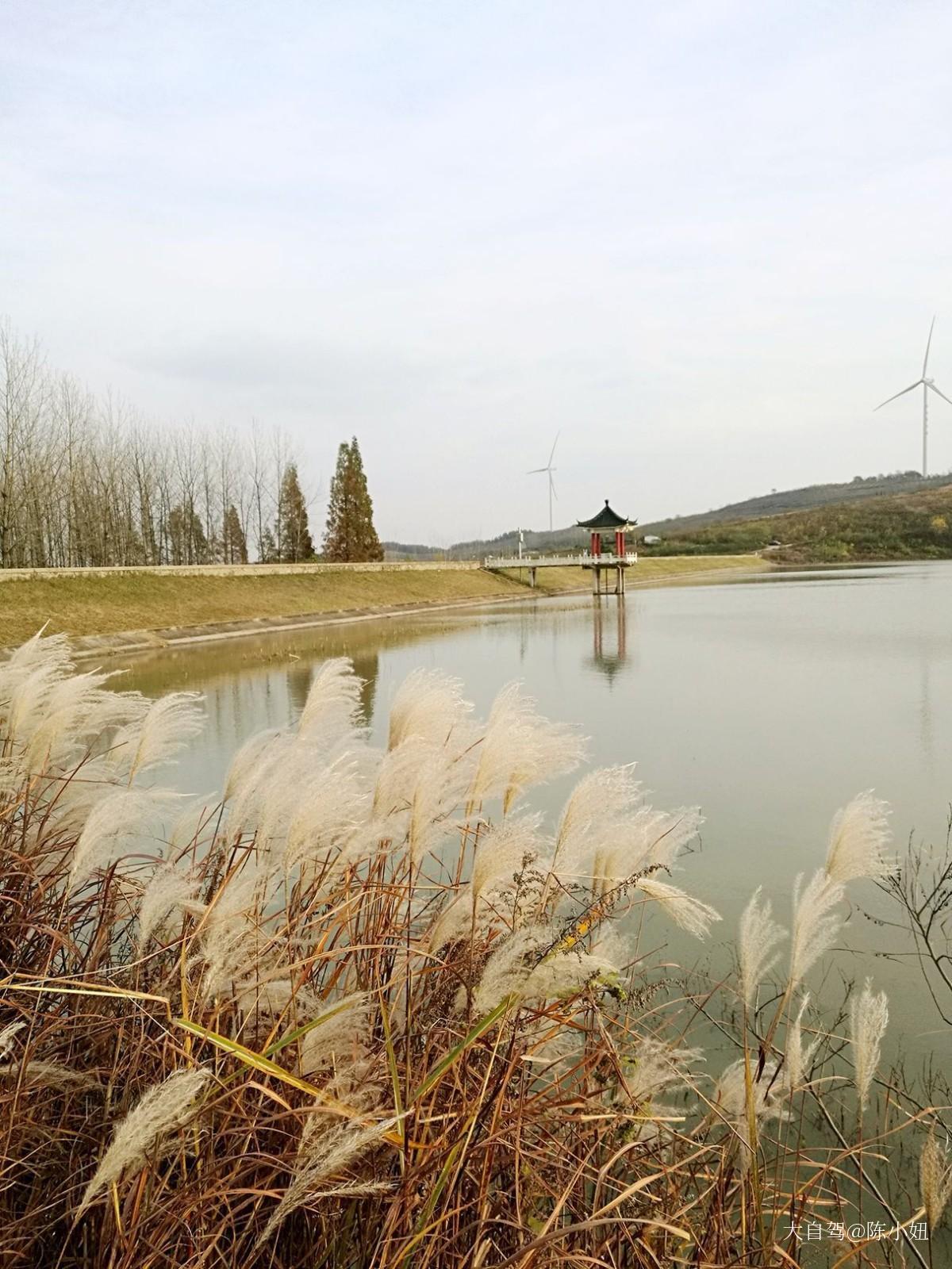 止马岭