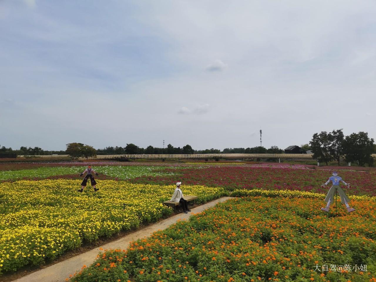 三台山森林公园