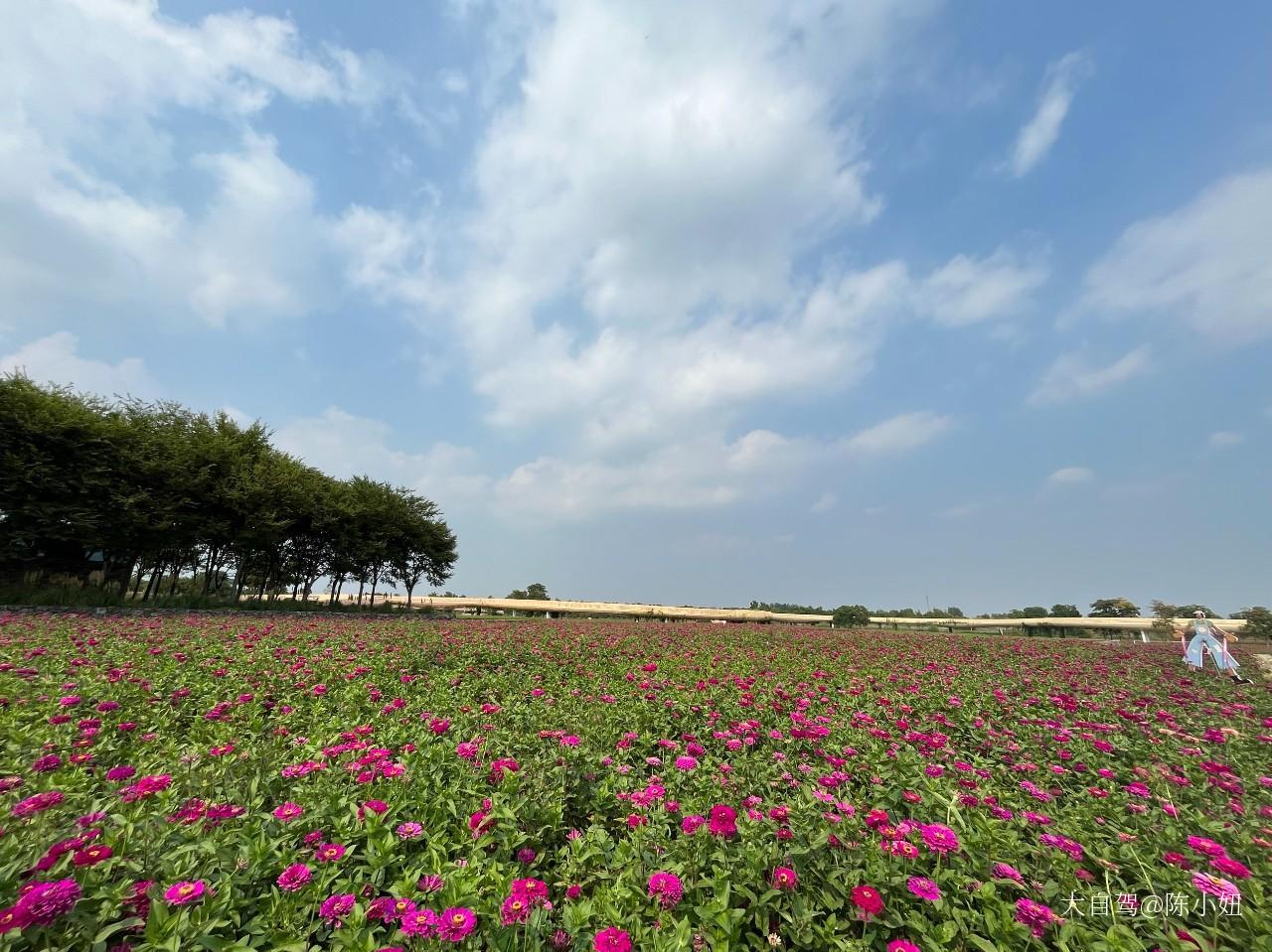 三台山天鹅湖