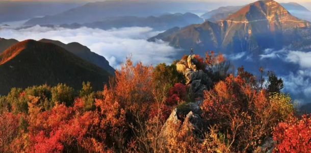 重庆周边3日自驾游：【巫山红叶】小三峡•巫山•巫溪 温泉美食3日自驾
