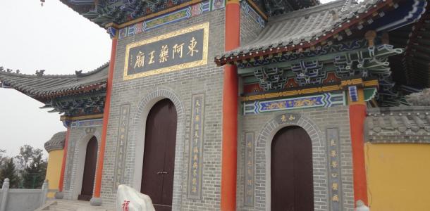 北京出发山东聊城3日自驾游：赏银杏大道、探秘阿胶世界3日自驾之旅
