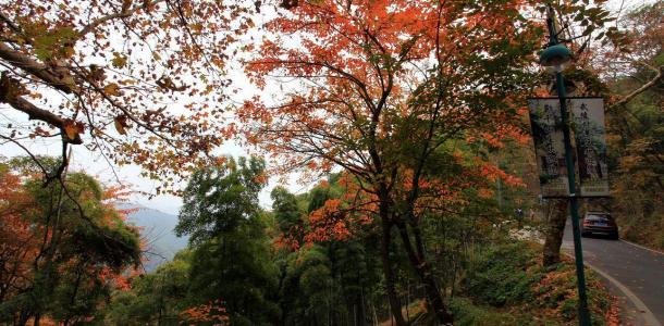 郑州出发安徽浙江7日自驾游：徽州秋韵-千岛湖-莫干山低奢养生休闲7日精品自驾