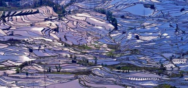 重庆出发云南6日自驾游：建水古城-元阳梯田-蒙自-碧色寨追忆芳华-罗平油菜花6日自驾之旅