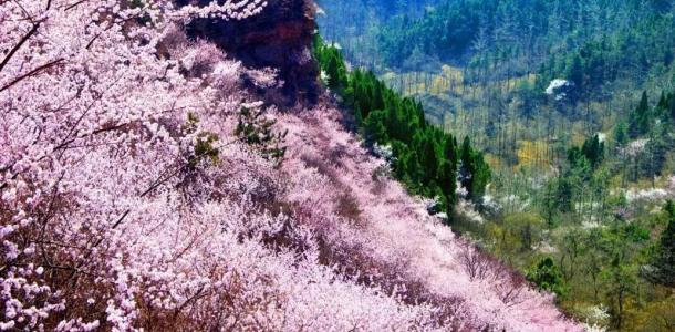 河南出发3日自驾南太行：万仙山-王莽岭-天界山-陈家园3日自驾挂壁公路自驾游