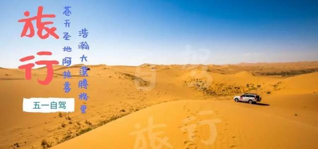 西安出发阿拉善4日自驾游：天鹅湖+沙漠度假营地+梦想沙漠公路4日沙漠植树活动