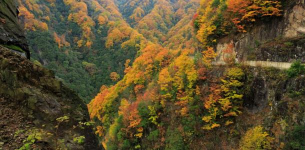 兰州集合青海张掖9日自驾游：水上雅丹-金塔胡杨林-莫高窟-嘉峪关-青海湖-七彩丹霞