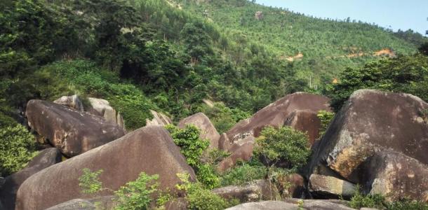中山出发潮州3日美食自驾游：舌尖上的潮汕-潮州古城-饶平青岚地质公园3日自驾游