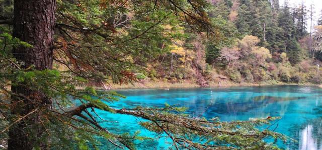 重庆出发九寨沟4日自驾游：萝卜羌寨-九寨沟-黄龙4日川西休闲自驾游