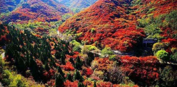 北京出发河北山东8日自驾：石头村、西柏坡、白鹿温泉、王硇村8日自驾