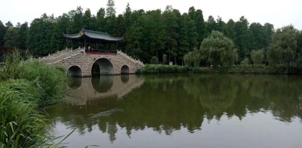 北京出发山东5日自驾游：李中水上森林-丹顶鹤湿地-竹泉村5日自驾游