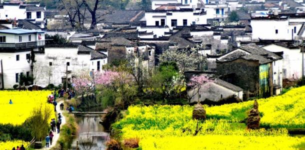 山东出发自驾江西婺源赏花5日游：婺源-天柱山-三河古镇-寿县古城婺源深度游