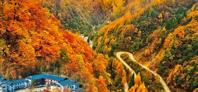 【漫天岭秋色】广元曾家山-林场秋色-云海日出2日自驾