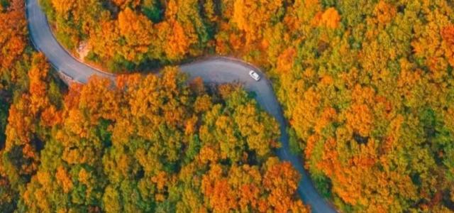 【大秦知秋】陕西汉中大涧沟-华阳古镇-古道穿越秦岭4日自驾
