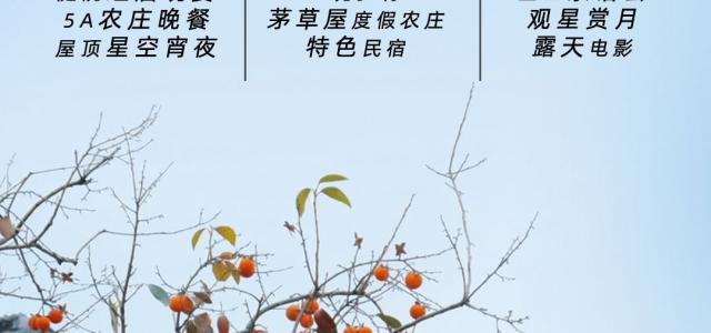广西桂林恭城贺州富川3日自驾游：柿半恭倍·瑶韵乡村3天2晚自驾|拼团游
