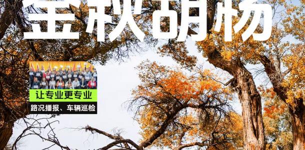 【金秋胡杨】河西走廊-嘉峪关-金塔胡杨-额济纳额-西北甘肃宁夏8日自驾