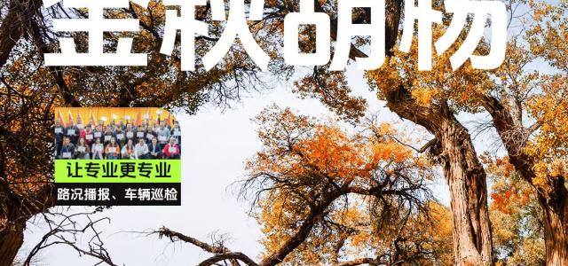 【金秋胡杨】河西走廊-嘉峪关-金塔胡杨-额济纳额-西北甘肃宁夏8日自驾